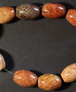 Bracelet Corail fossilisé