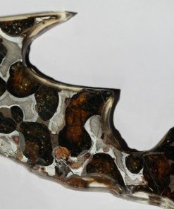 Météorite Pallasite11