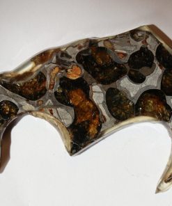 Alternative view of Météorite Pallasite11