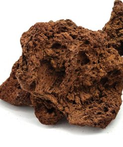 Tropica Lava Rock : 8 à 15 cm