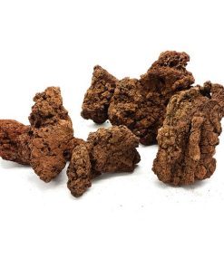 Alternative view of Tropica Lava Rock : 8 à 15 cm