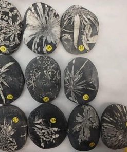 Alternative view of Jaspe Chrysanthème-Galet-