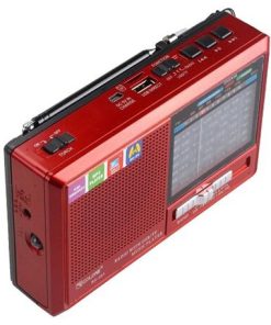 RADIO Bluetooth GOLON RX 321