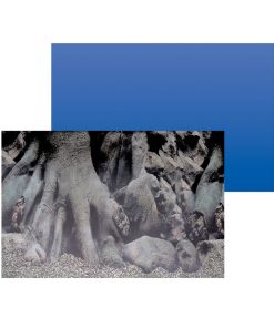 SuperFish Deco Poster D