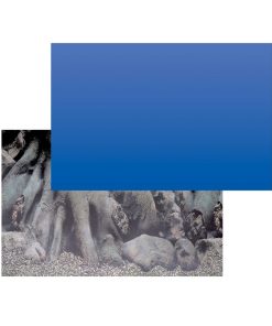 Alternative view of SuperFish Deco Poster D