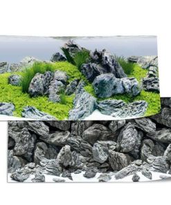 Juwel Poster de fond d&rsquo;aquarium 4 S : 60×30 cm