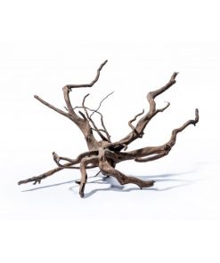 Alternative view of Racine Black Asia